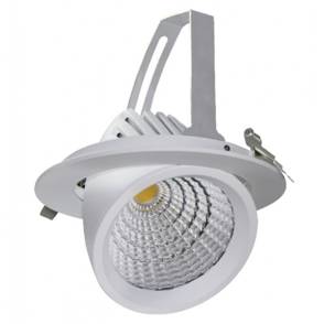 Orientable 40w led.jpg